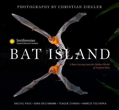 Bat Island: A Rare Journey into the Hidden World of Tropical Bats - Rachel A. Page,Dina K. N. Dechmann,M. Teague O'Mara - cover