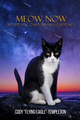 Meow Now: No Death, Only Transcendence - Cody Flying Eagle Templeton - cover