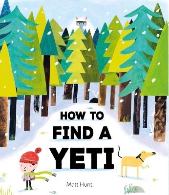 How to Find a Yeti - Matt Hunt - cover