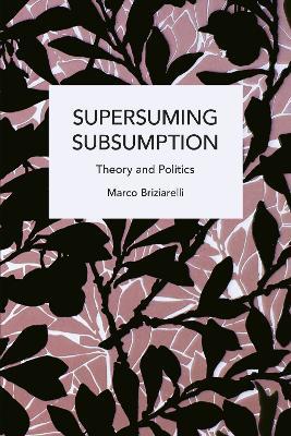 Supersuming Subsumption: Theory and Politics - Marco Briziarelli - cover