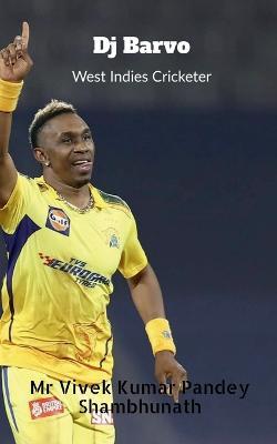 Dj Barvo - Vivek - cover