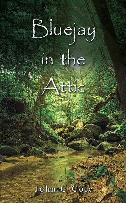 Bluejay in the Attic - John C Cole - cover