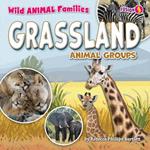 Grassland Animal Groups