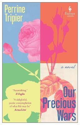 Our Precious Wars - Perrine Tripier - cover