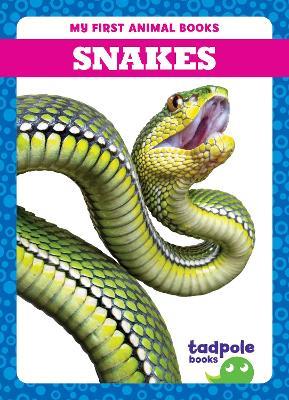 Snakes - Natalie Deniston - cover