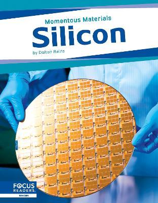Momentous Materials: Silicon - Dalton Rains - cover