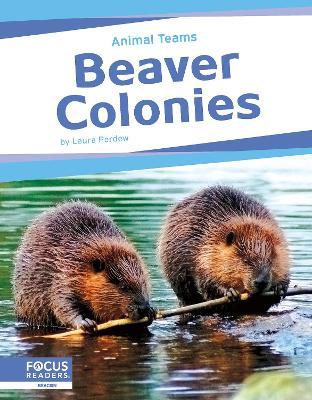 Beaver Colonies - Laura Perdew - cover