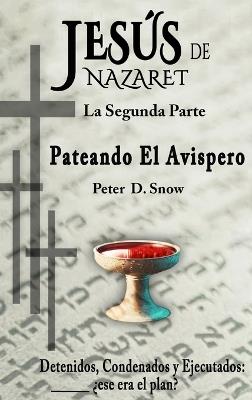 Jesús de Nazaret: Pateando El Avispero - Peter D Snow - cover