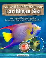 Incredible Creatures of the Caribbean Sea: Learn about Animals Including Octopuses, Stingrays, Eels, and Triggerfish!