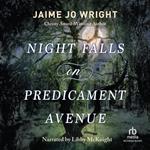 Night Falls on Predicament Avenue