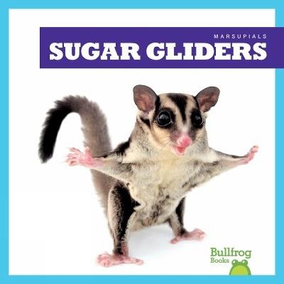 Sugar Gliders - Natalie Deniston - cover