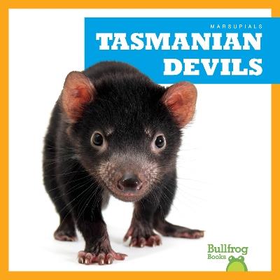 Tasmanian Devils - Natalie Deniston - cover