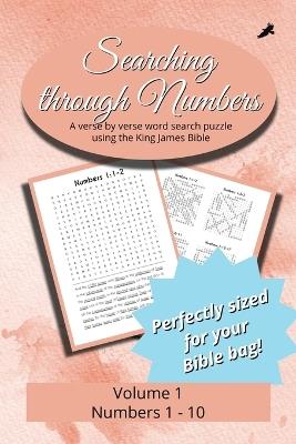 Searching Through Numbers: Chapters 1-10 - cover
