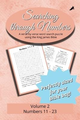 Searching Through Numbers: Chapters 11-23 - cover