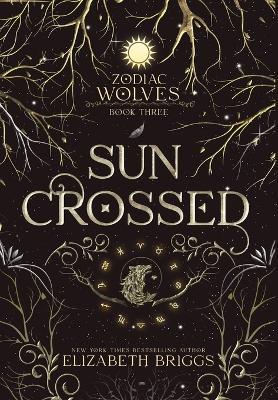 Sun Crossed - Elizabeth Briggs - cover