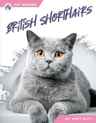 British Shorthairs - Abby Doty - cover