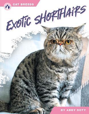 Exotic Shorthairs - Abby Doty - cover