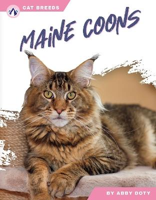 Maine Coons - Abby Doty - cover