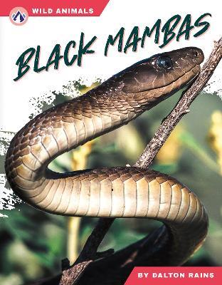 Black Mambas - Dalton Rains - cover