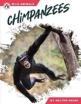 Chimpanzees - Dalton Rains - cover