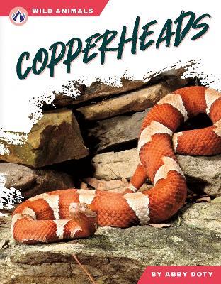Copperheads - Abby Doty - cover