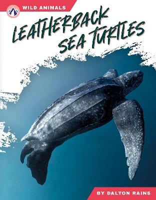 Leatherback Sea Turtles - Dalton Rains - cover