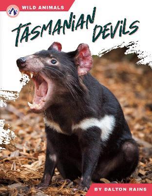 Tasmanian Devils - Dalton Rains - cover