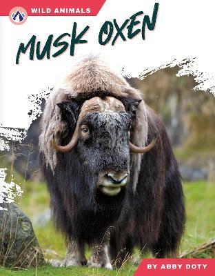 Musk Oxen - Abby Doty - cover