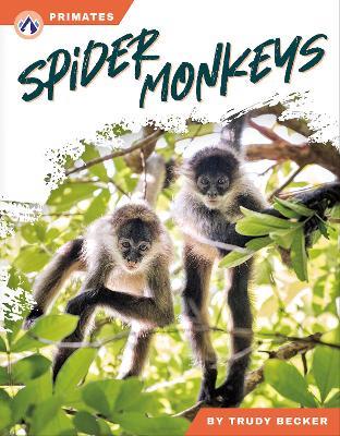 Spider Monkeys - Trudy Becker - cover
