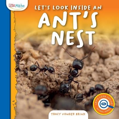 Let's Look Inside an Ant's Nest - Tracy Vonder Brink - cover