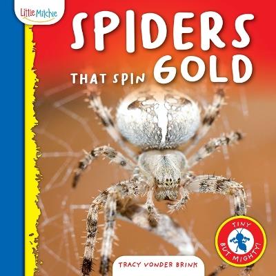 Spiders That Spin Gold - Tracy Vonder Brink - cover