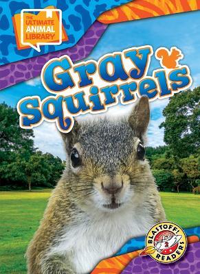 Gray Squirrels - Janie Scheffer - cover