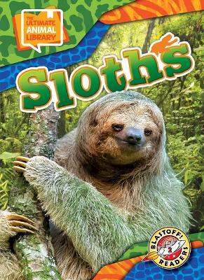 Sloths - Janie Scheffer - cover