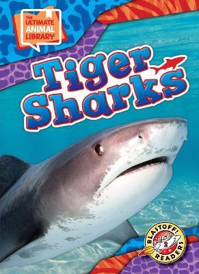 Tiger Sharks - Janie Scheffer - cover