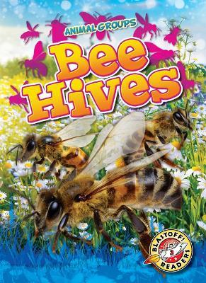 Bee Hives - Rachel Grack - cover