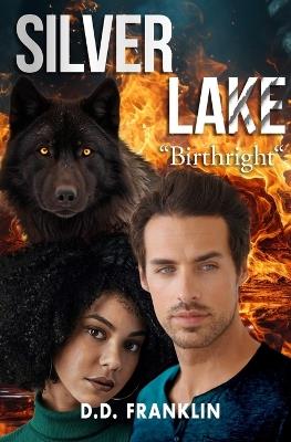 Silver Lake: Birthright - D D Franklin - cover