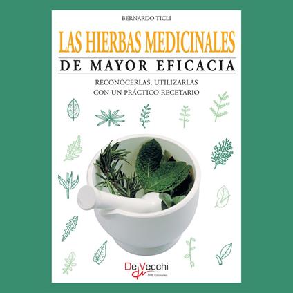 Las hierbas medicinales de mayor eficacia