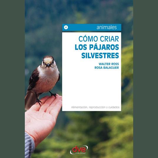 Cómo criar los pájaros silvestres. Alimentación, reproducción y cuidados