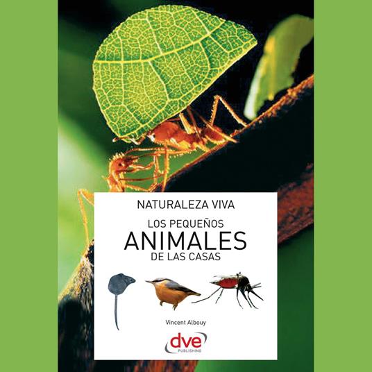 Los pequeños animales de las casas