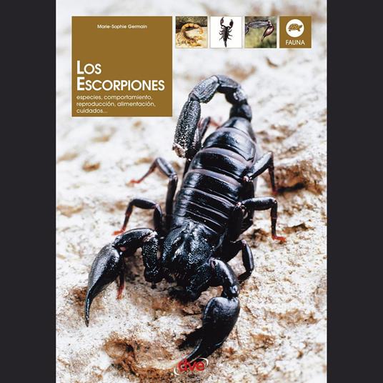 Los escorpiones
