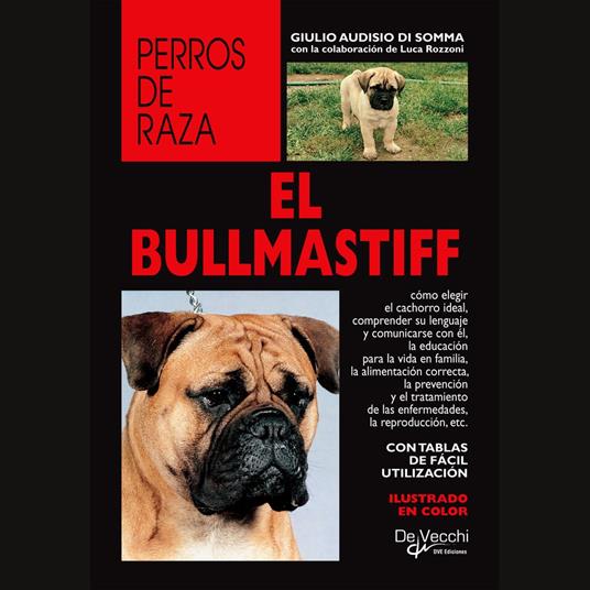 El Bullmastiff