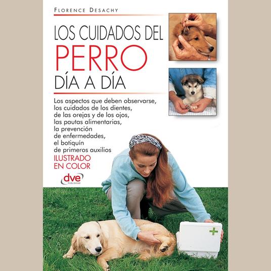 Los cuidados del perro día a día