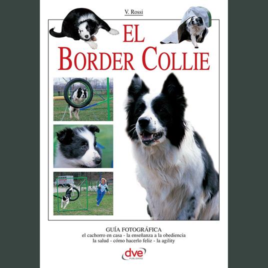 El border collie