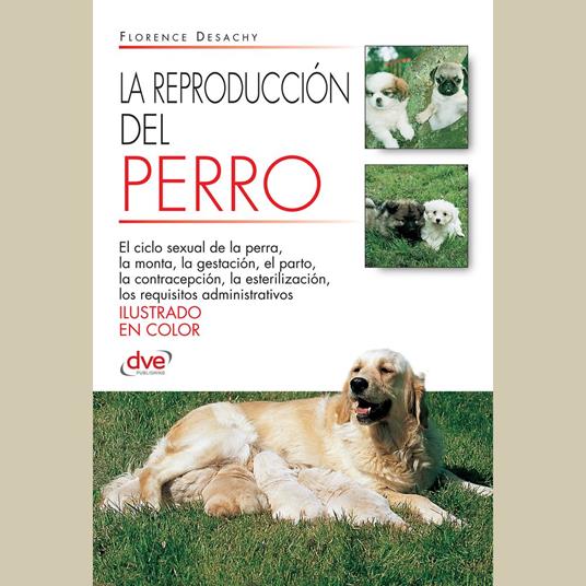 La reproducción del Perro