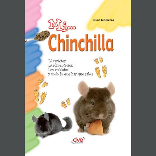 Mi... Chinchilla