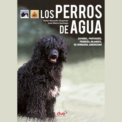 Los perros de agua - El perro de Obama