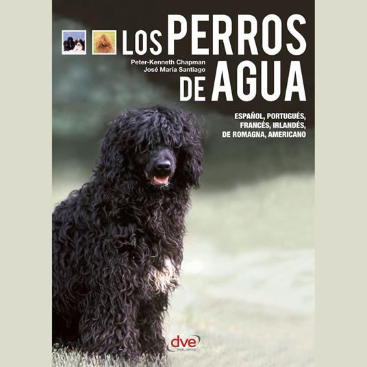 Los perros de agua - El perro de Obama