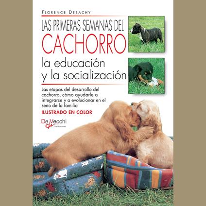 Las primeras semanas del cachorro
