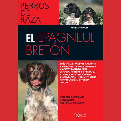 El Épagneul Bretón
