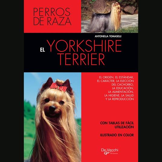 El yorkshire terrier